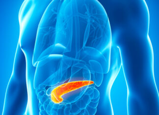 Grasa alrededor del páncreas podría aumentar posibilidades de padecer alzheimer, según estudio