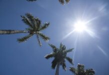 Meteorología pronostica ambiente soleado y escasas lluvias